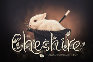 Cheshire: A Versatile Script Font