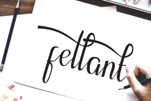 Fellant: A Script Font for Modern Designers