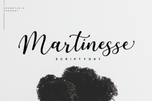 Martinesse Script: A Versatile and Elegant Choice for Modern Design
