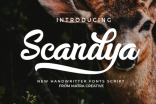 Scandya Script: A Handwritten Touch for Modern Design