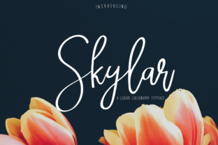 Skylar: A Versatile Casual Font for Unique Design Expression